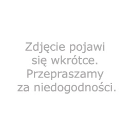 A:SPECYFIKACJEODBIORCYJYSKSPECYFIKACJEMR 329