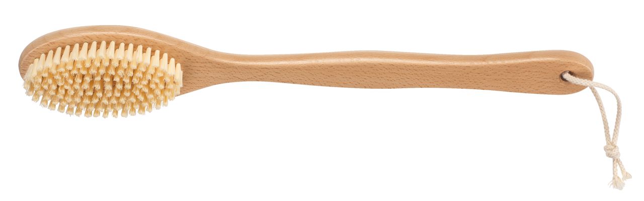 Bath brush VALJE wood schima wallichi | JYSK