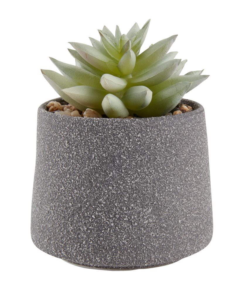 Kunstpflanze LUCAS Ø9xH12cm m/Topf | JYSK