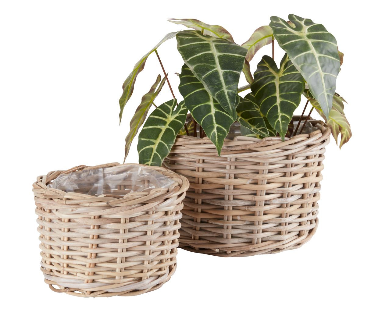 Pflanzkübel SANSEBIE Ø27/35 natur 2Stk/Set JYSK