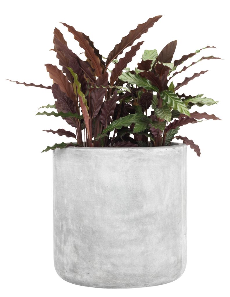 Garden planter FLUGA D42xH42 grey JYSK