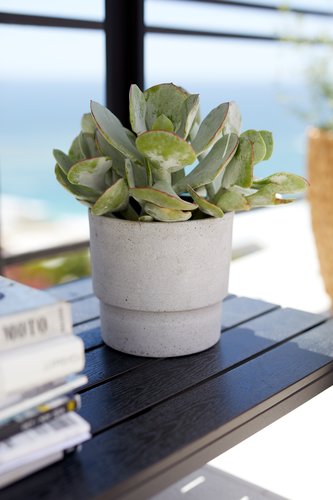 Blumentopf OTTO Ø16xH15cm grau JYSK