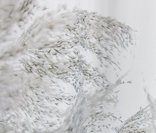 Zasłona prysznicowa KARUNGI 150x200 nadr