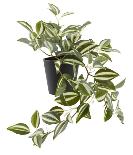 Roślina sztuczna ASGAR W24cm zielony