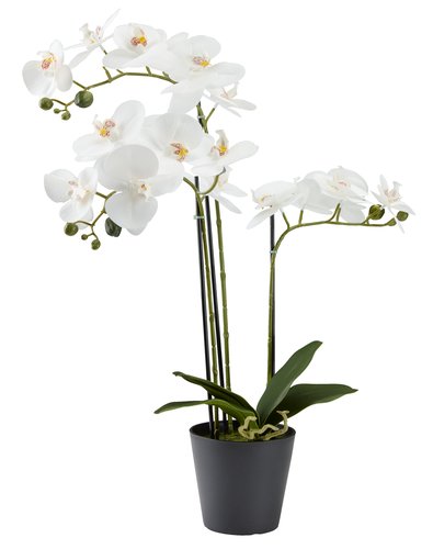Roślina sztuczna MATINUS W62cm z kwiatami