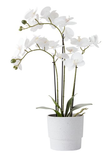 Umjetna biljka MATINUS V62cm sa cvijećem
