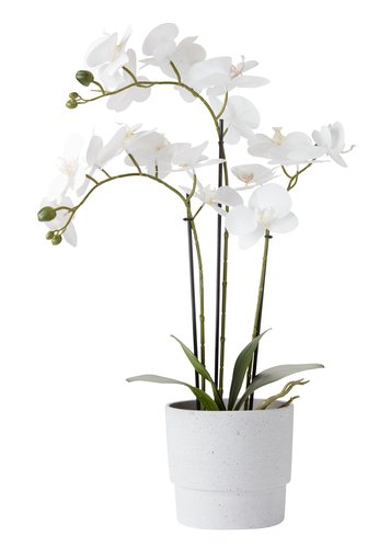 Orchidea Artificiale In Vaso Ceramica - Decorazione Realistica Altezza 44cm