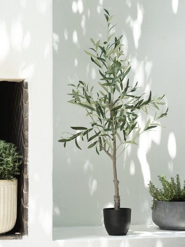 Artificial Plant Havhest H155cm Green Olive Jysk