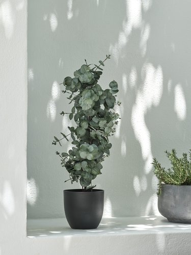 Kunstig plante RIPA H90cm grøn eukalyptus