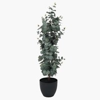 Umjetna biljka RIPA V90cm zelena eukaliptus