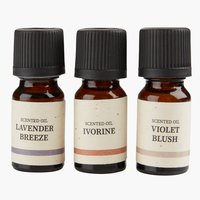 Scented oil LEON 10ml pack of 3