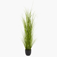 Kunstpflanze MARKUSFLUE H90cm Gras