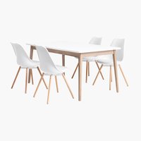 GAMMELGAB L160/200 + 4 KASTRUP white/oak