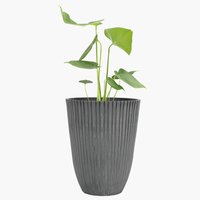 Vaso jardim MYGGA Ø29xA36 cinzento