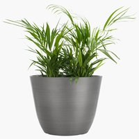 Vaso jardim HVEPS Ø51xA40 cinzento