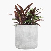 Vaso jardim FLUGA Ø41xA41 sales no.