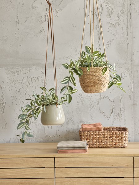 Kunstplant ASGAR H24 groen