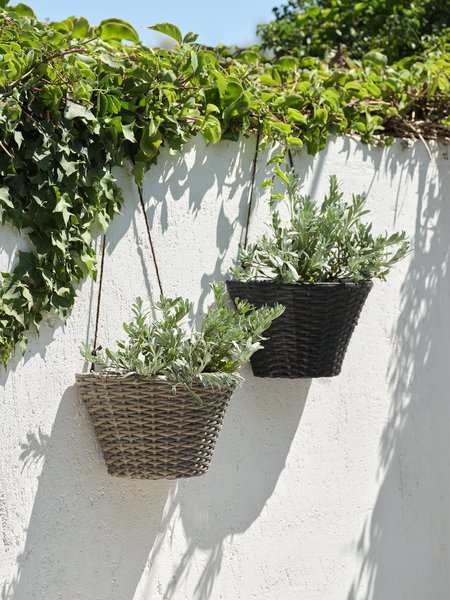 Hanging plant pot REDDIK W18xL30xH18 assorted