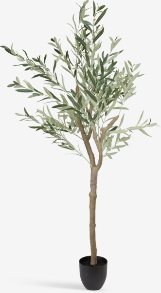 Artificial plant HAVHEST H160cm green olive