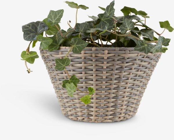 Hanging plant pot REDDIK W18xL30xH18 assorted