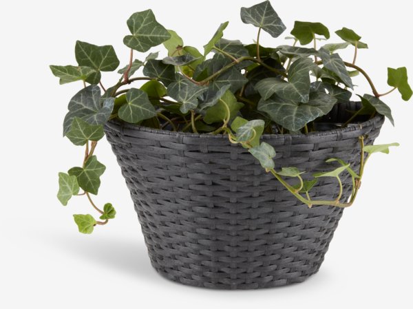 Hanging plant pot REDDIK W18xL30xH18 assorted