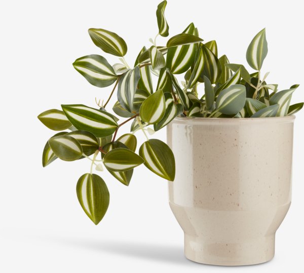 Kunstplant ASGAR H24 groen