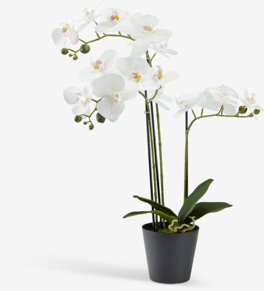 Kunstig plante MATINUS H62cm m/blomster