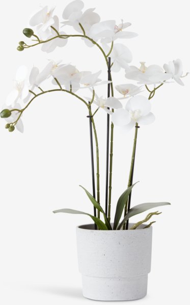 Kunstig plante MATINUS H62cm m/blomster