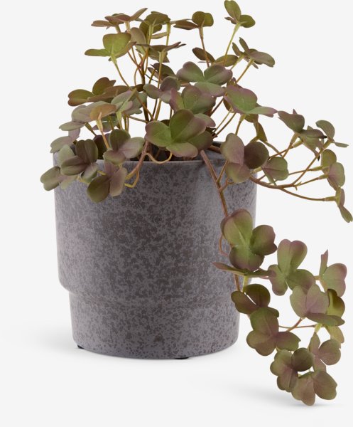 Plante artificielle BERGUR L21cm avec pot