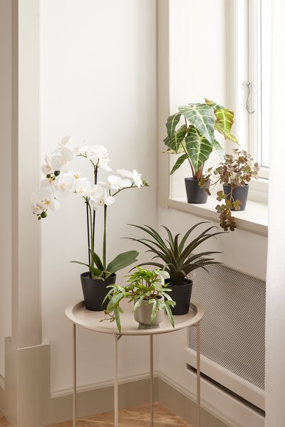 Kunstig plante MATINUS H62cm m/blomster