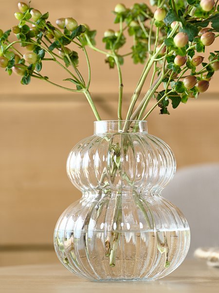 Vase BUSTER Ø14xH16cm transparent