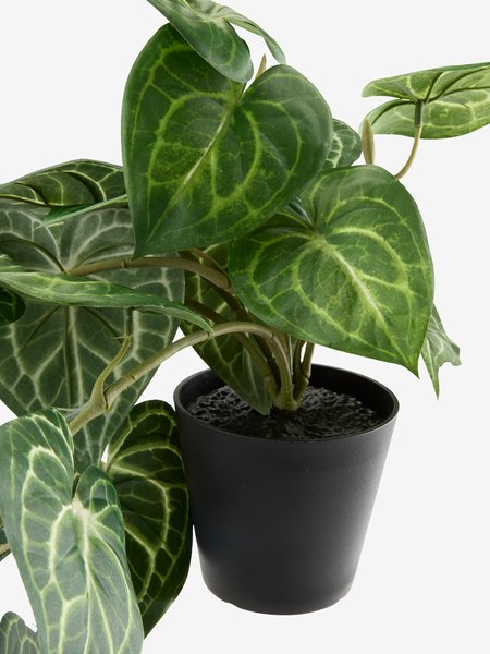 Planta artificial KNOPPSVANE A30cm verde