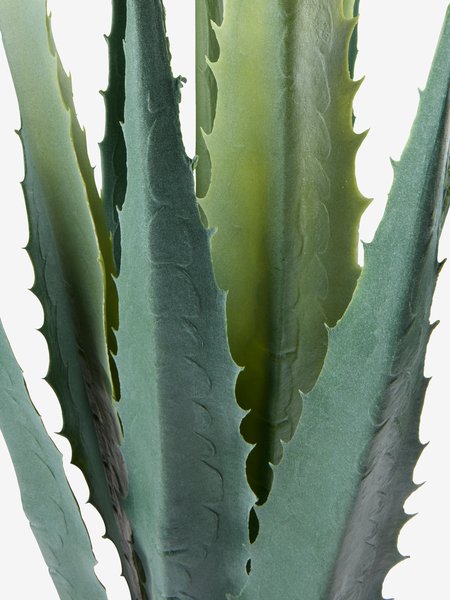 Pianta artificiale TOPPMEIS H105cm agave