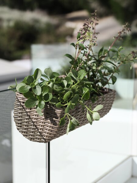 Balcony planter STEINTROST W18xL50xH16 natural