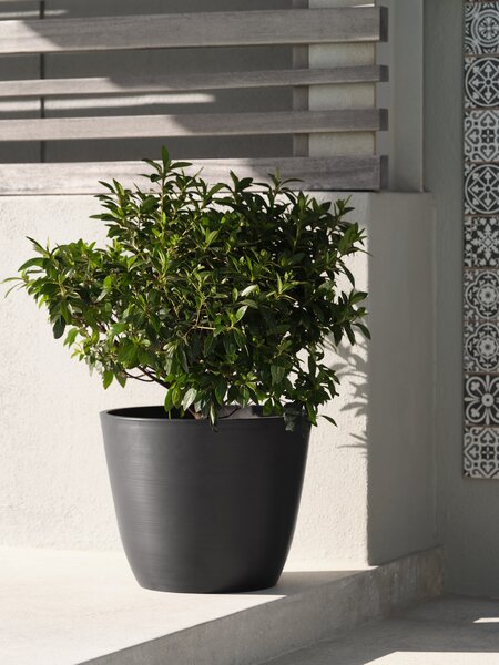 Havekrukke HVEPS Ø53xH41 grå