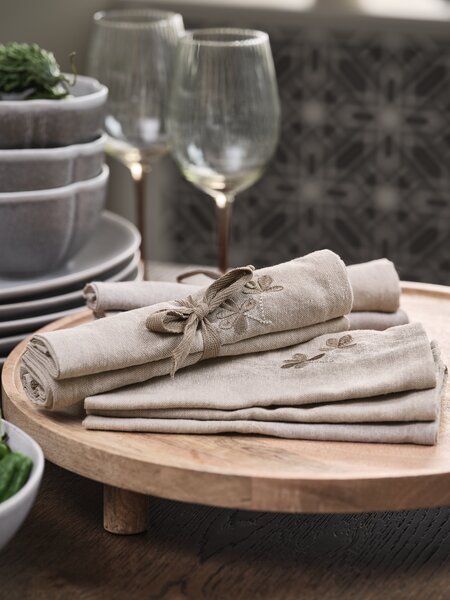 Cloth napkin DAGFIOL 40x40 pack of 2