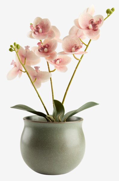 Kunstig plante GUDJON H35cm hvit orkide
