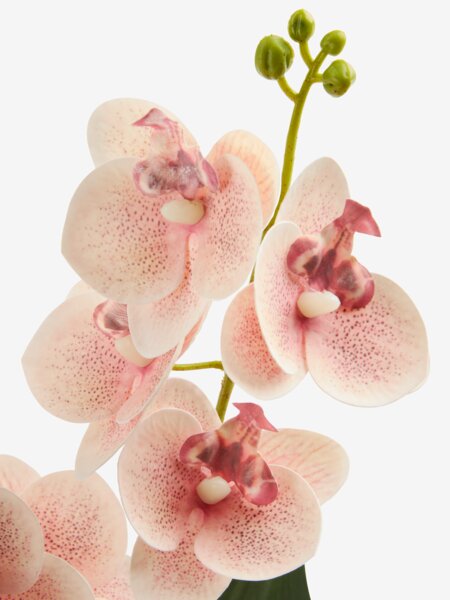 Kunstig plante GUDJON H35cm hvit orkide