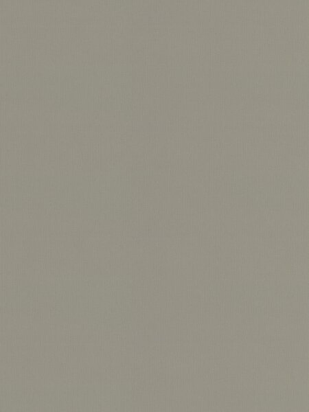 Estor enrollable opaco BOLGA 60x170cm topo