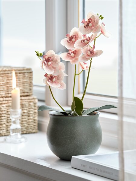 Kunstig plante GUDJON H35cm hvit orkide