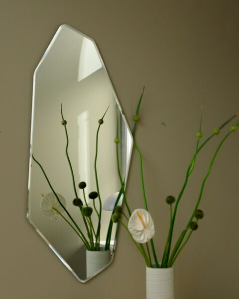 Mirror VILSLEV 50x100 organic shape