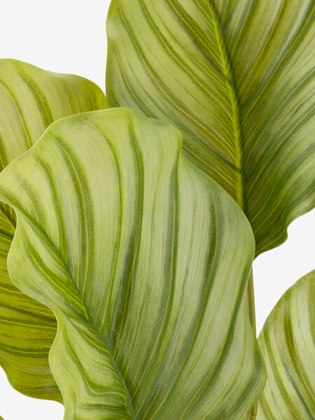 Planta artificial ROLF A55cm verde