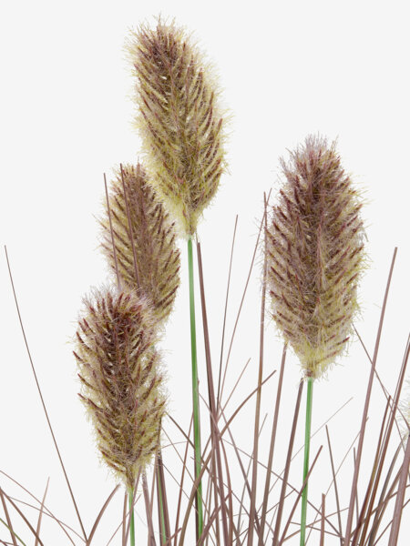 Kunstig plante EDERFUGL H80 grøn græs