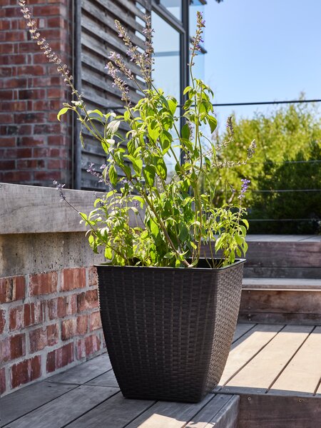 Cesto de jardín ISLOM 38x38x39 negro