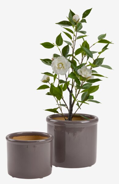 Havekrukke STORK Ø28/24 støvet blomme 2 stk/sæt