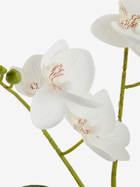 Kunstig plante GUDJON H35cm hvit orkide