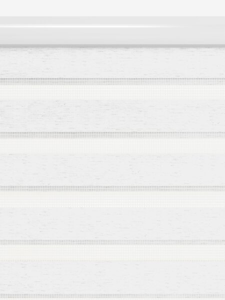 Store enrouleur Duo ALSTEN 120x250cm a/cassette blanc