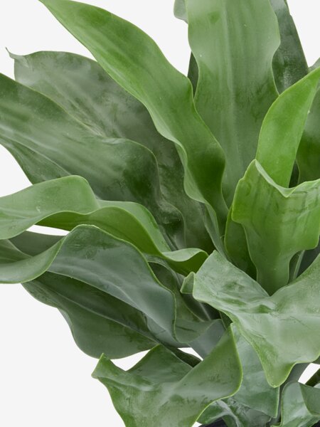 Kunstig plante ERIKSEN Ø49xH44cm grønn