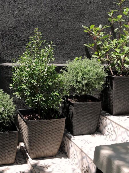 Planter basket ISLOM 38x38x39 black