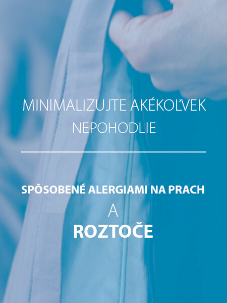 Vankúš z umelého vlákna 70x80 ROAN